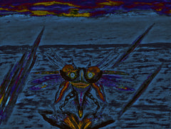 war with covid-19