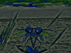 war with covid-19