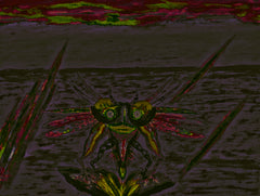 war with covid-19