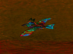 calling of the birds with flying out of lock down for good