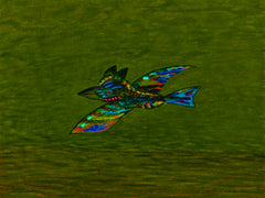 calling of the birds with flying out of lock down for good