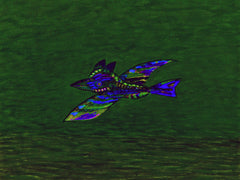 calling of the birds with flying out of lock down for good