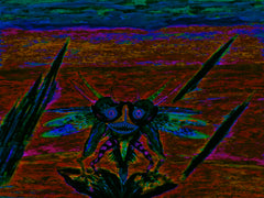 war with covid-19