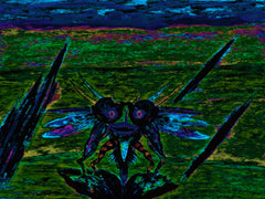 war with covid-19
