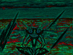 war with covid-19