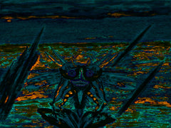 war with covid-19