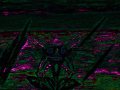 war with covid-19