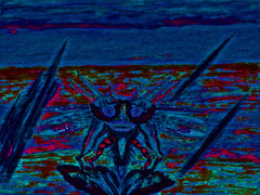 war with covid-19