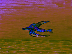 calling of the birds