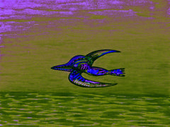 calling of the birds