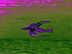 calling of the birds