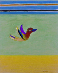 come fly with me